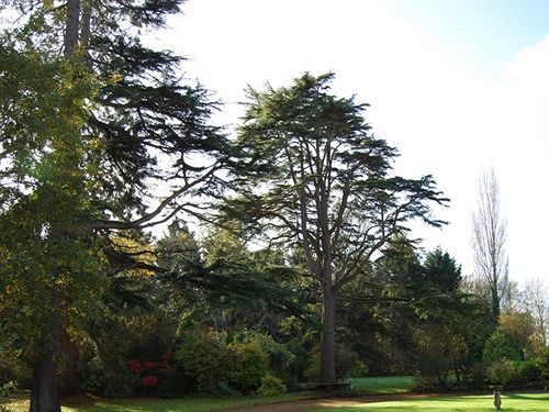 Langaller Manor House トーントン エクステリア 写真