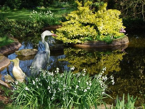 Langaller Manor House トーントン エクステリア 写真